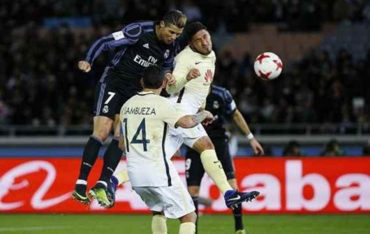 白蚁防治资质证书